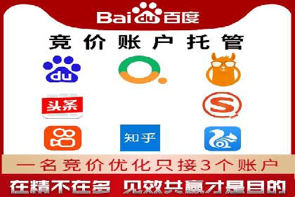 SEM服务案例：打造行业领先品牌